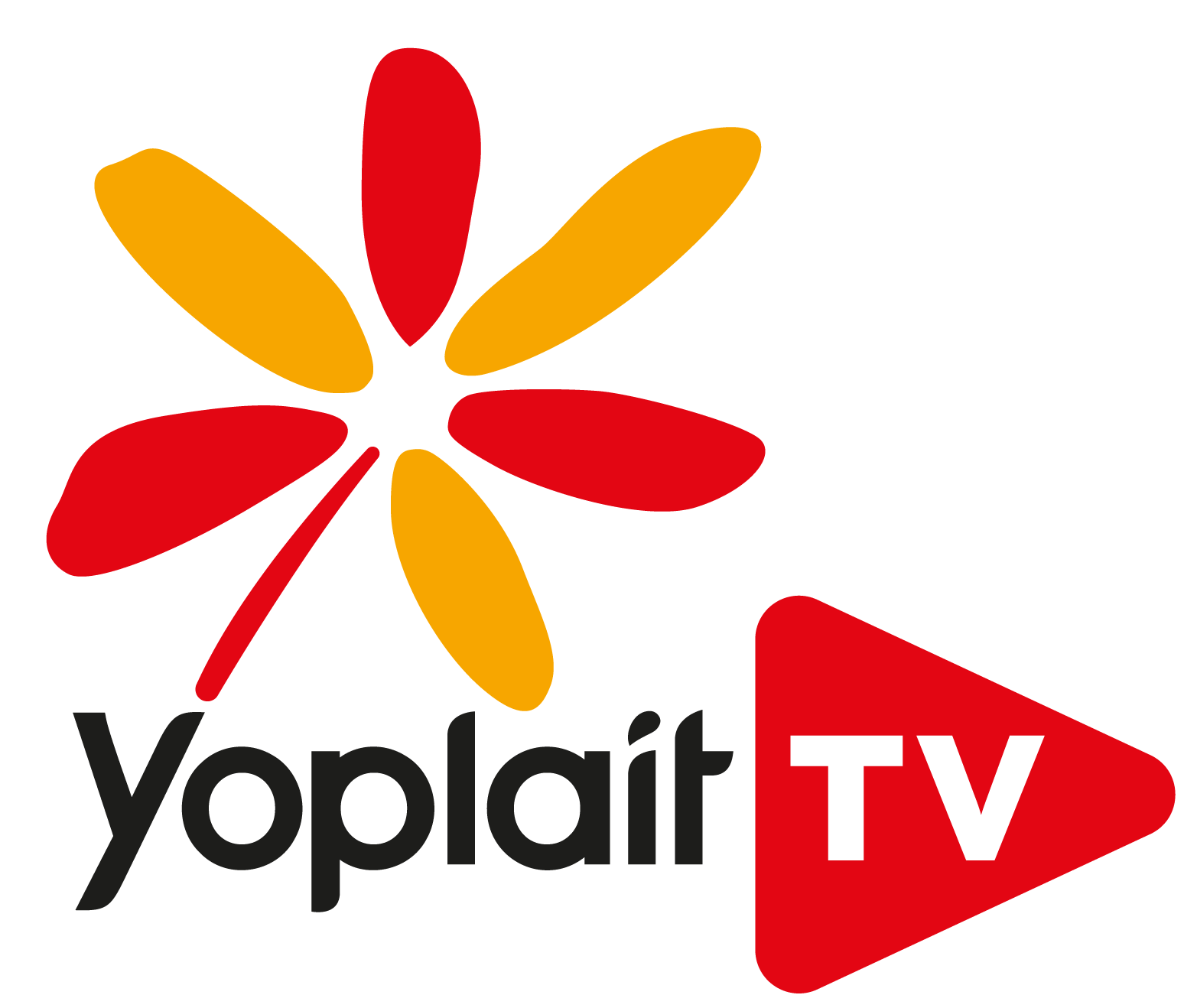 videas logo